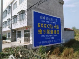 英山墙体广告质量分析