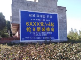英山品牌公司青睐的墙体广告