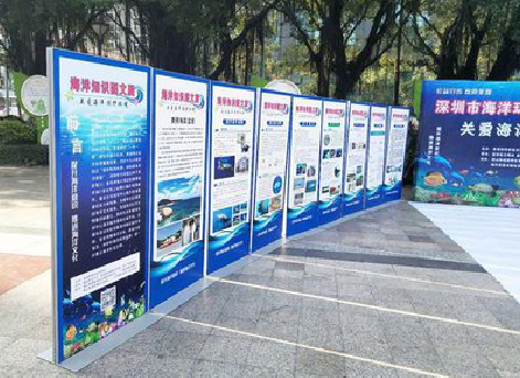 英山KT板的种类和知识。